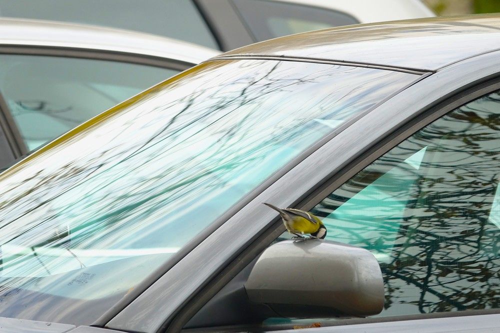 Photograph by jelena konickaja