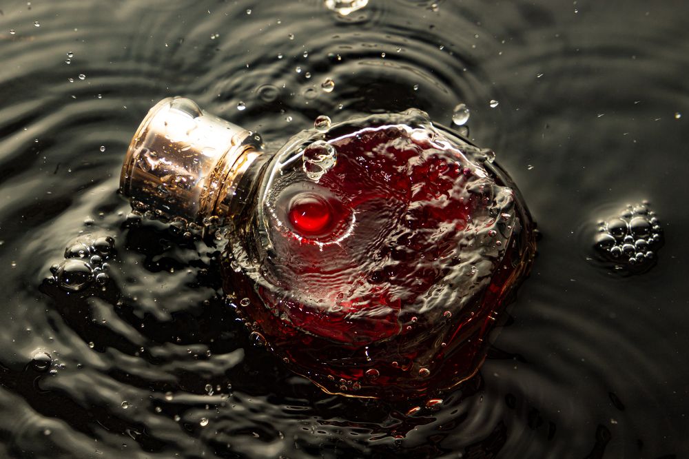 Фотография автора Полина Жаринова