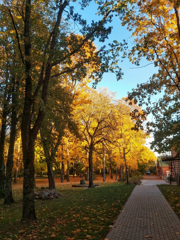 Photograph by Ольга Антанавичене