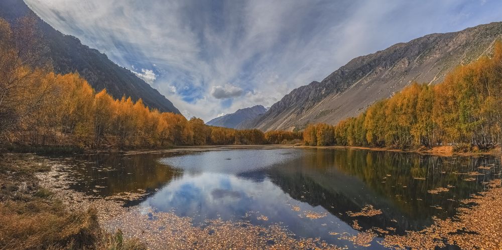 Краски осени.