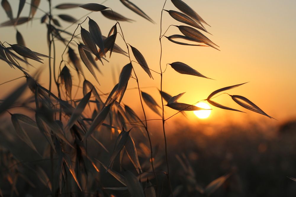 Photograph by Panagiotis Batatolis