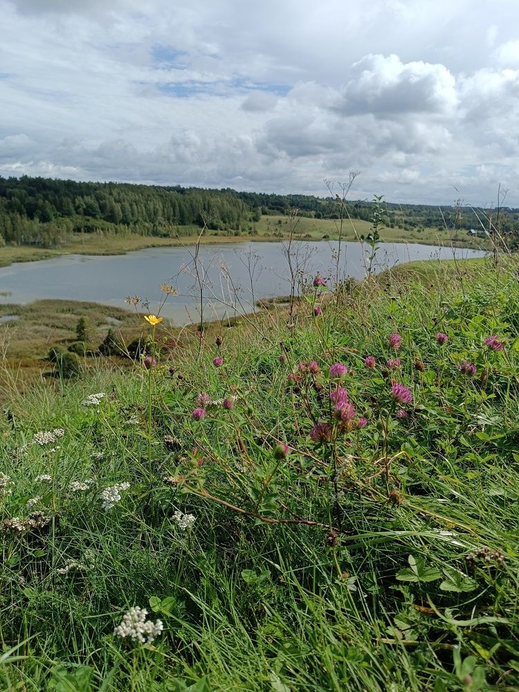 Фотография автора Дарья Петровская