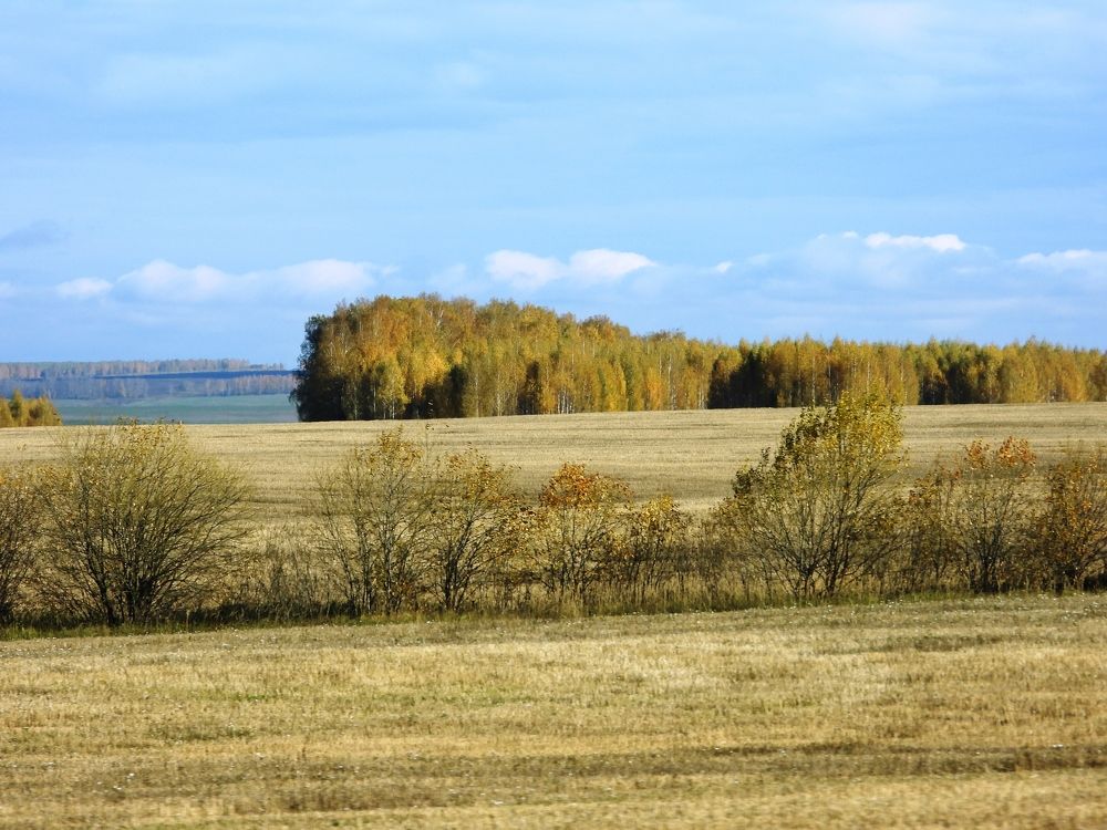 Фотография автора Владимир Соколов