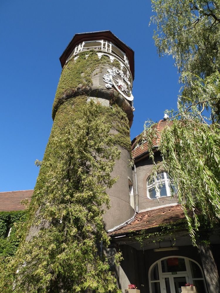 Photograph by Виктор Бута