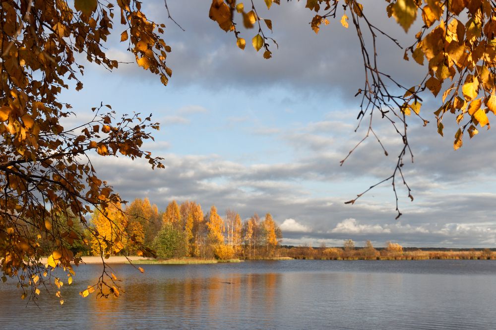 Photograph by Светлана Воробьёва