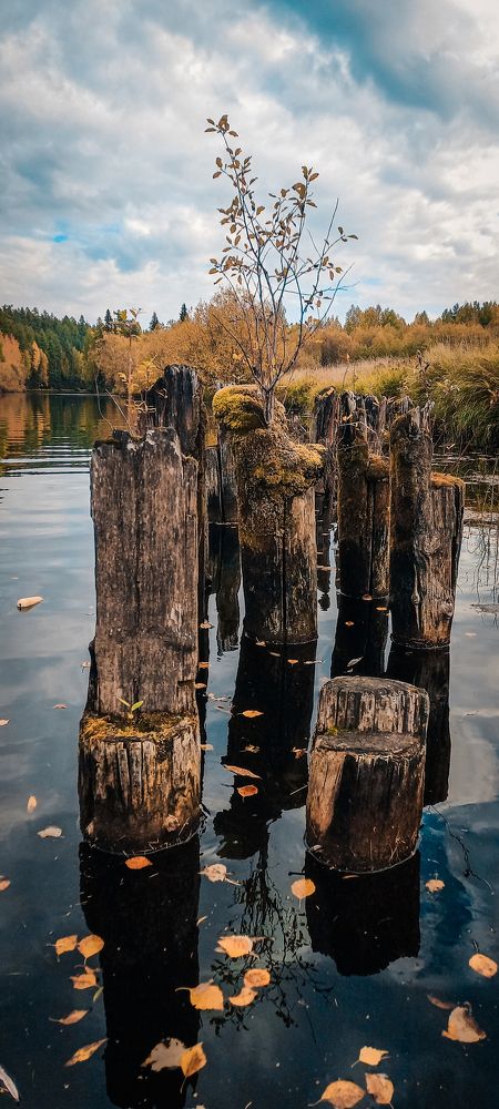 Photograph by Владимир Баженов