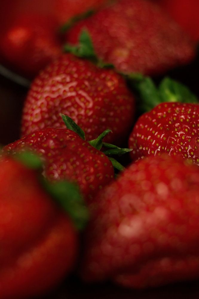 Photograph by Елена Макаренко