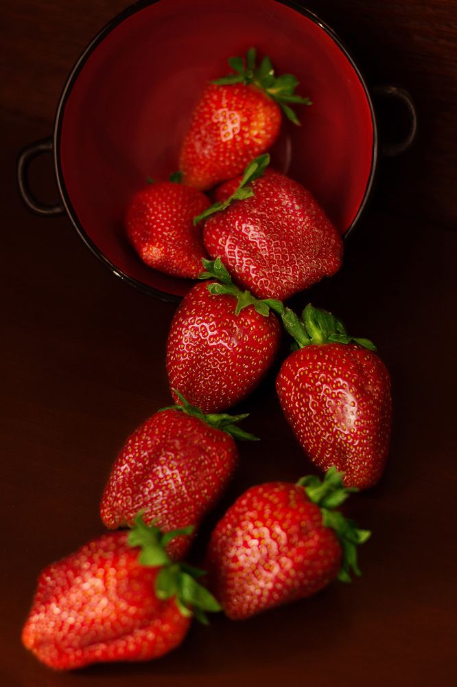 Photograph by Елена Макаренко