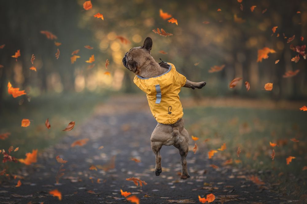 Photograph by Елена Самусенкова