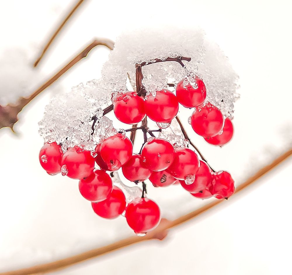 Photograph by Пушкин Сергей