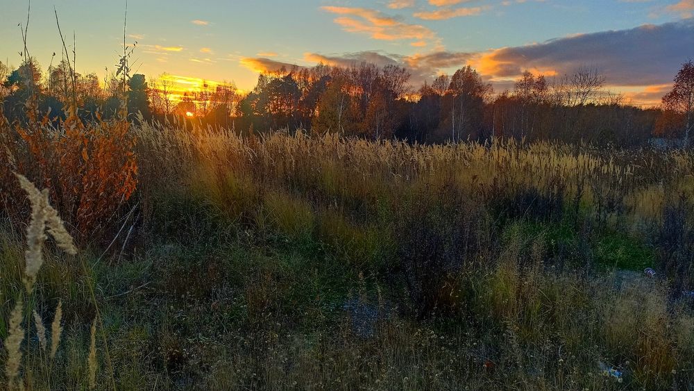 Photograph by Игорь Владимирович Дербенев