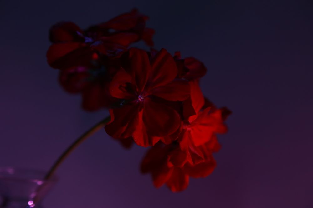 Фотография автора Ирина Якущенко