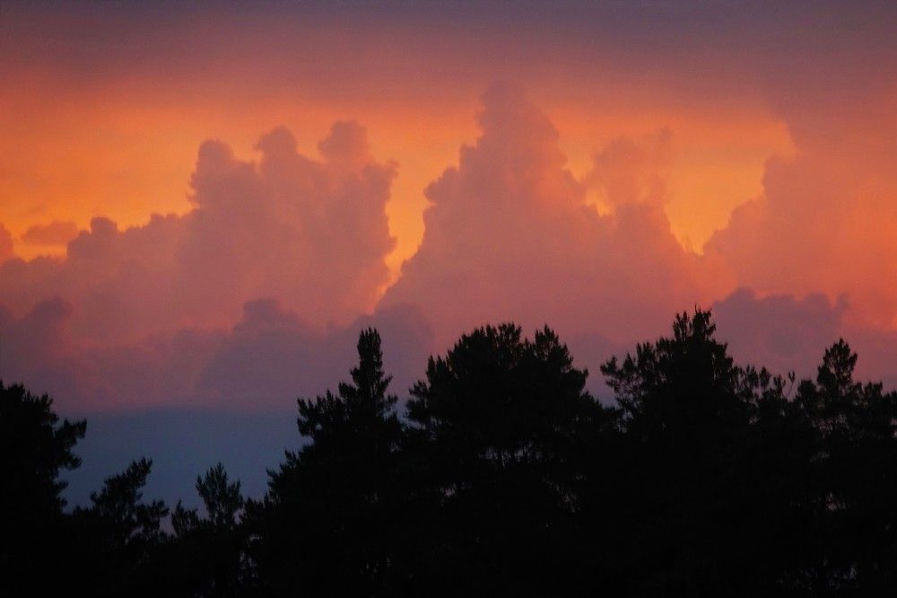 Photograph by jelena konickaja