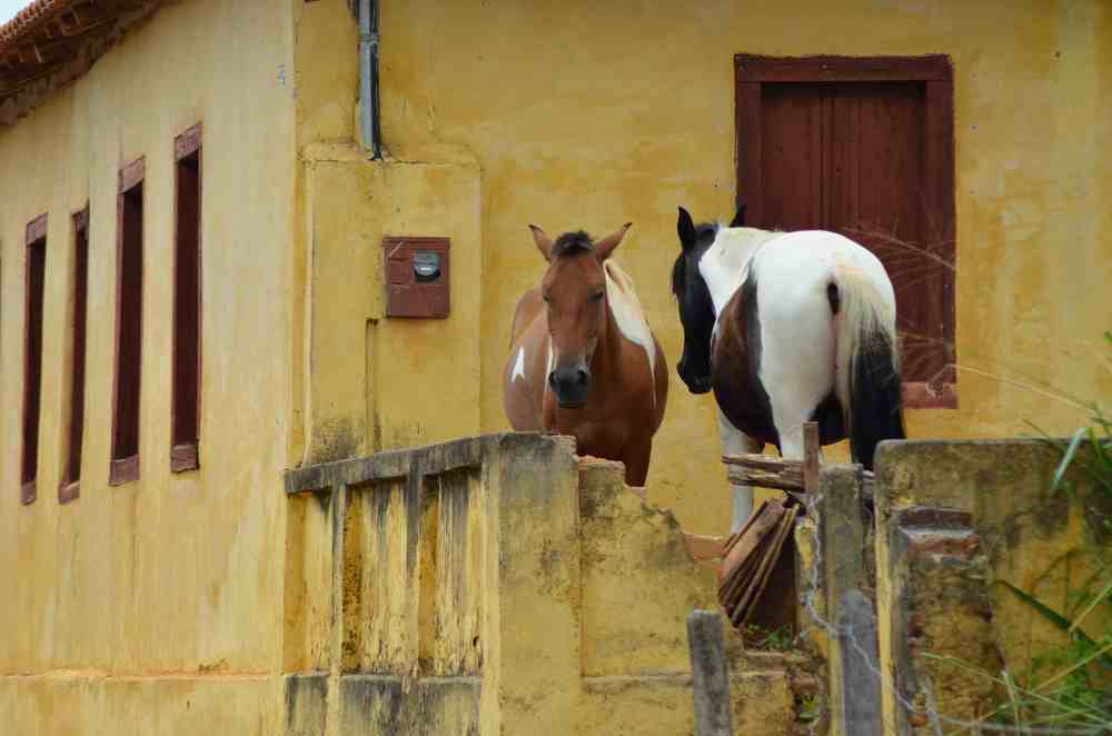 Photograph by Edmundo Figueiredo Soares Junior