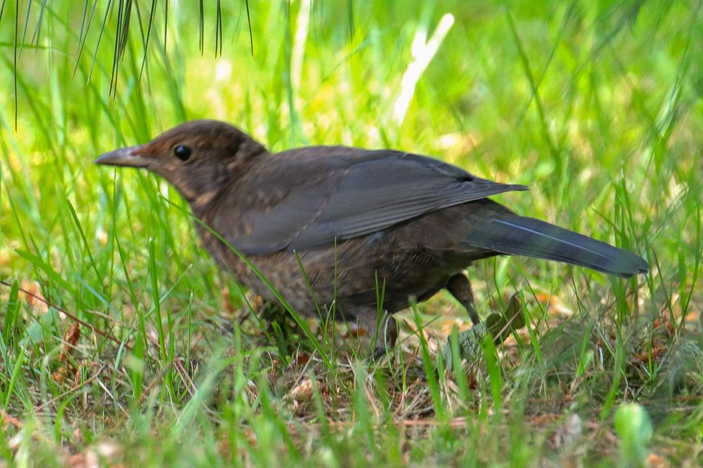 Photograph by Елена Рудкевич