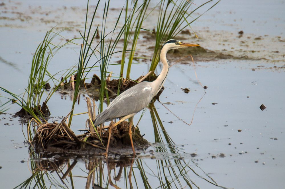 Photograph by Елена Рудкевич