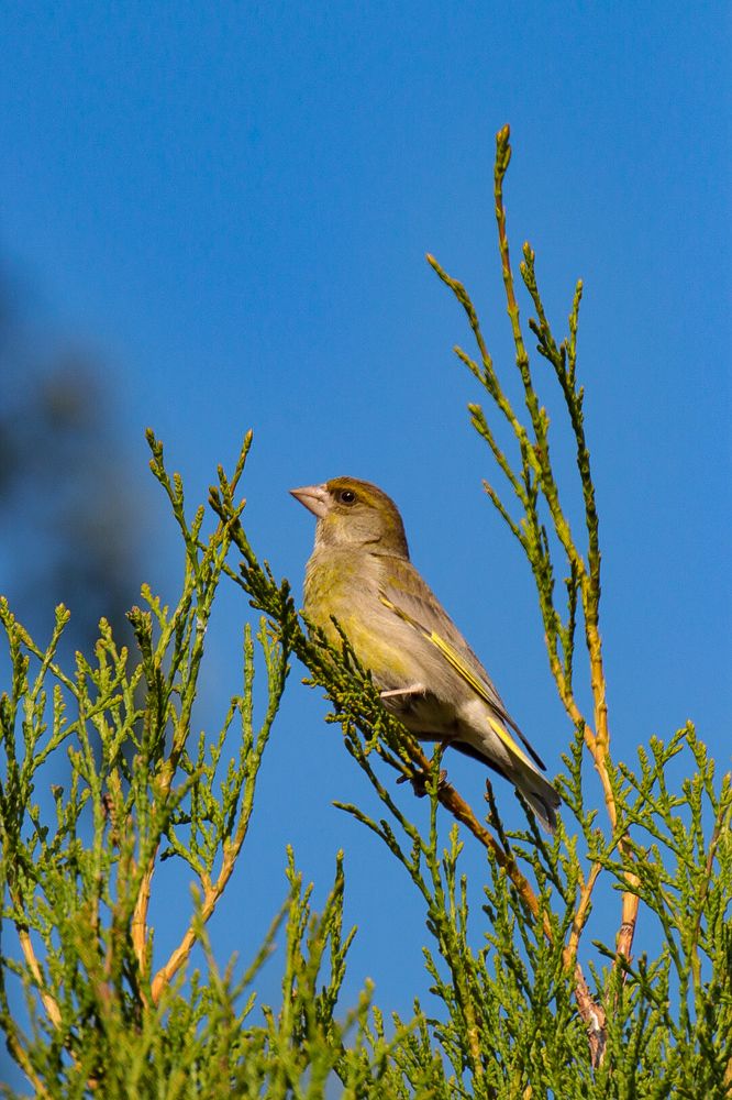 Photograph by Елена Рудкевич