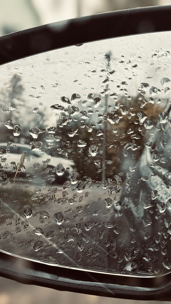 Photograph by Светлана Родионова