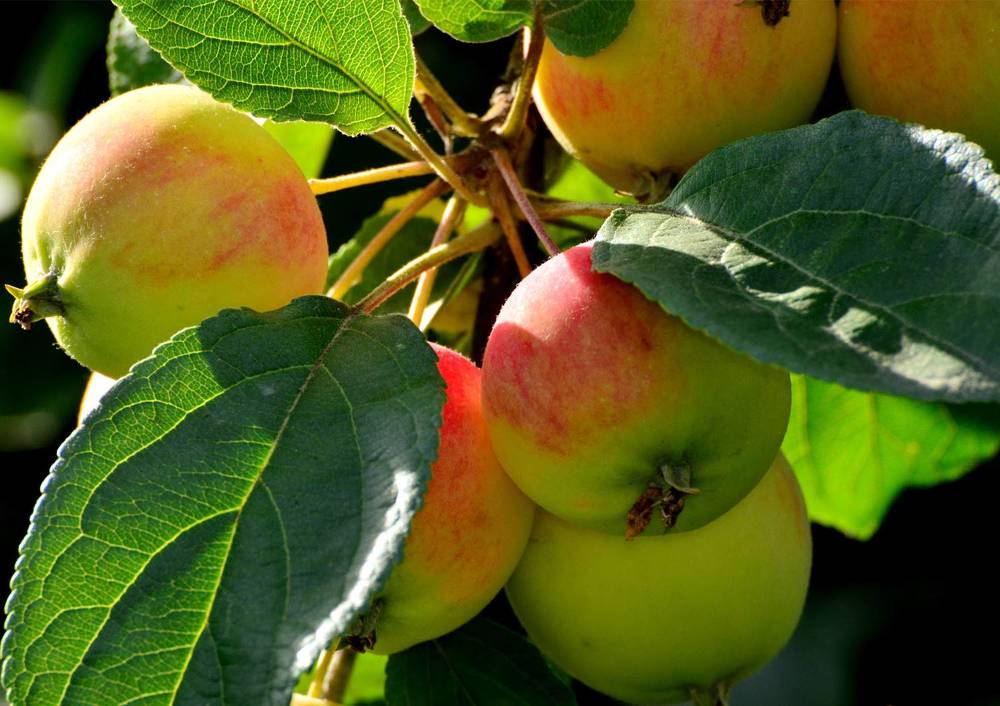 Photograph by Пушкин Сергей