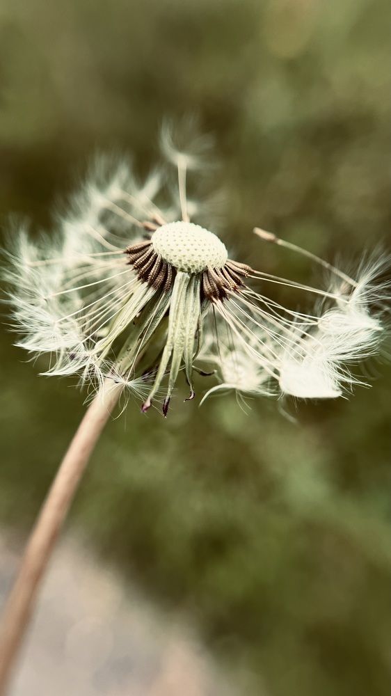 Photograph by Светлана Родионова