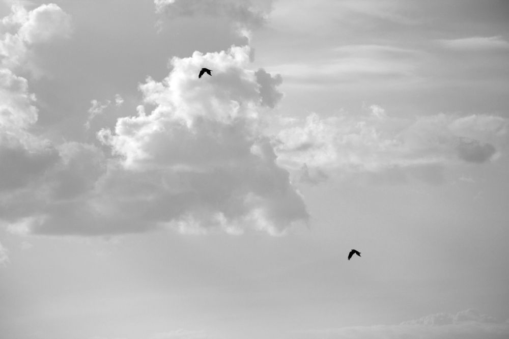 Photograph by Игорь Герасимов