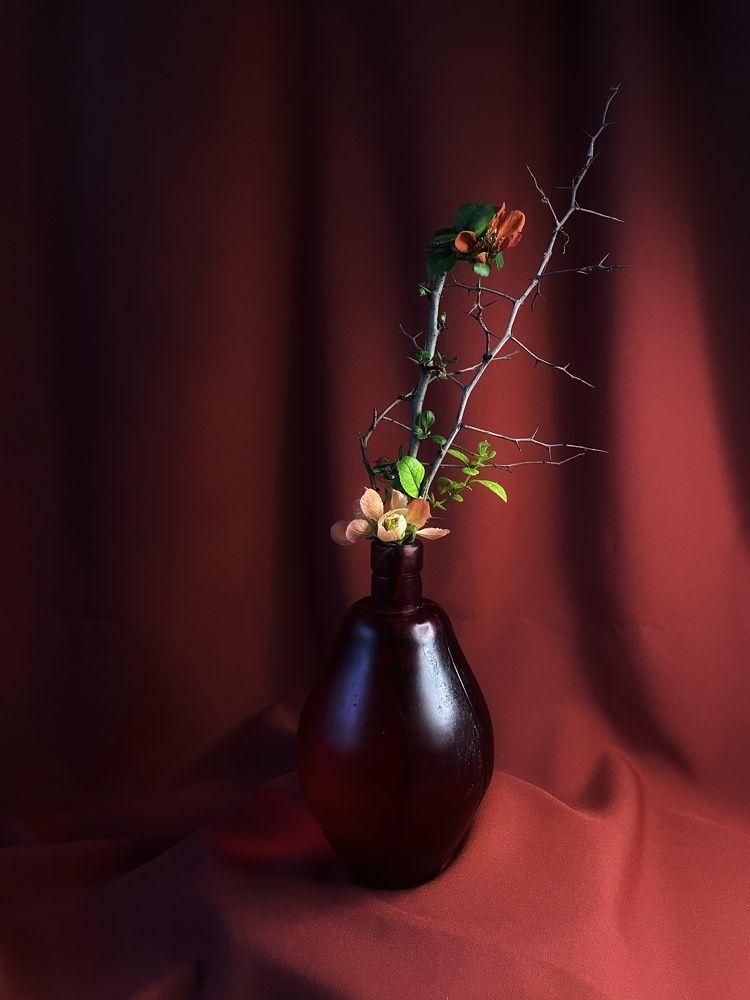 Фотография автора Рамзия Хисамутдинова