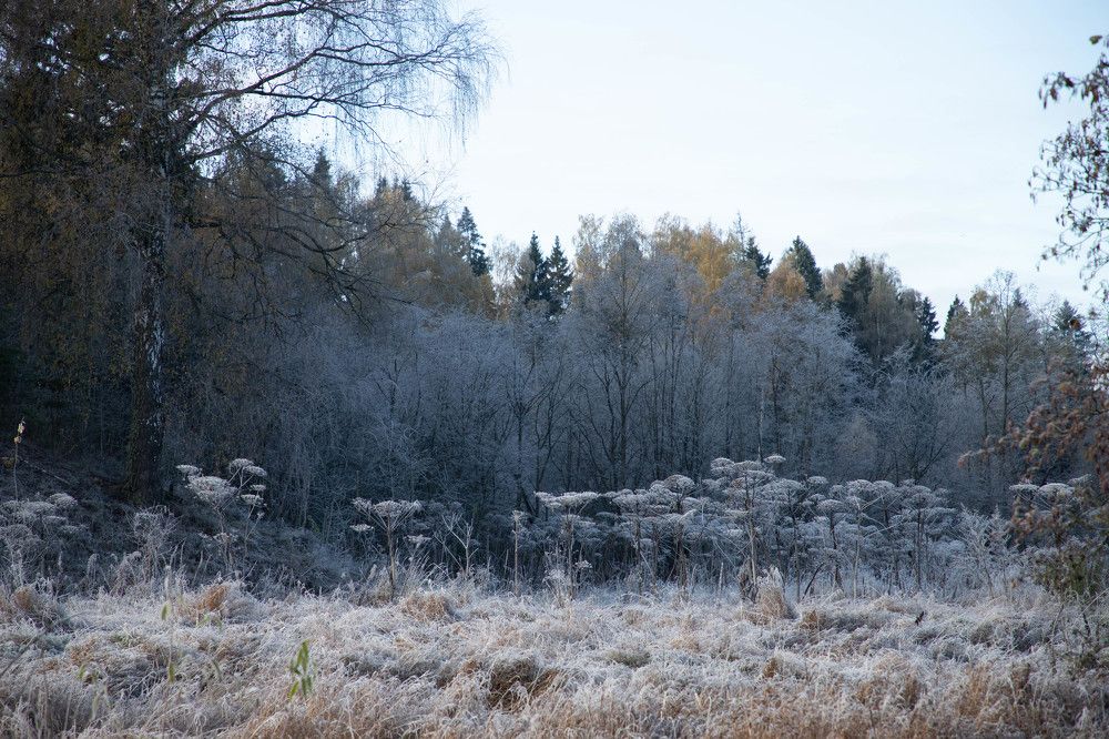 Photograph by Tatiana Shevkun