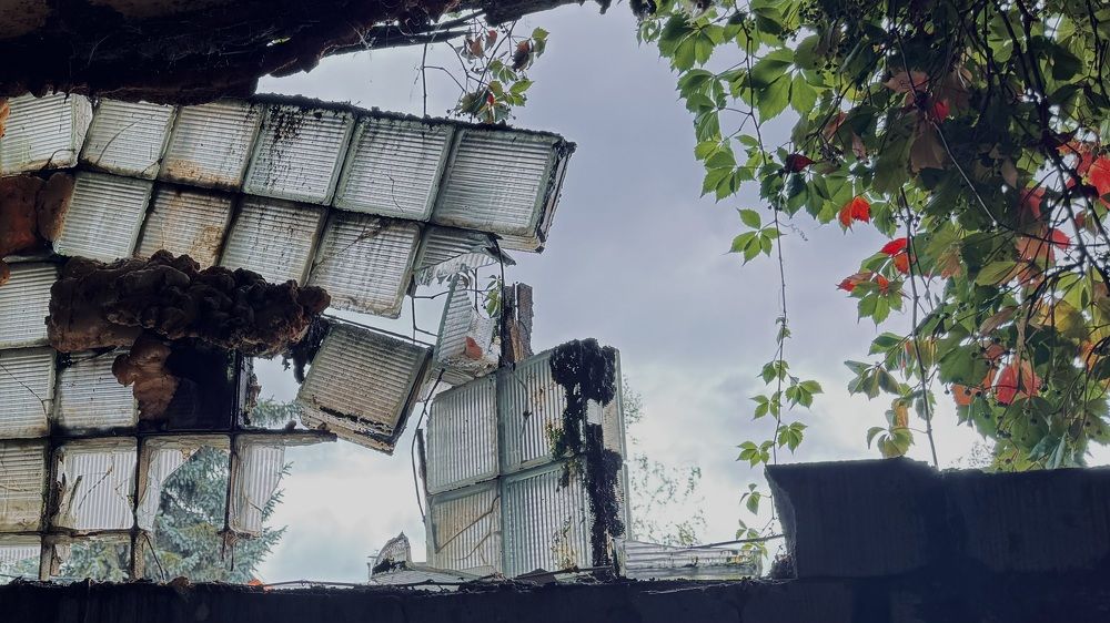 Photograph by Светлана Родионова