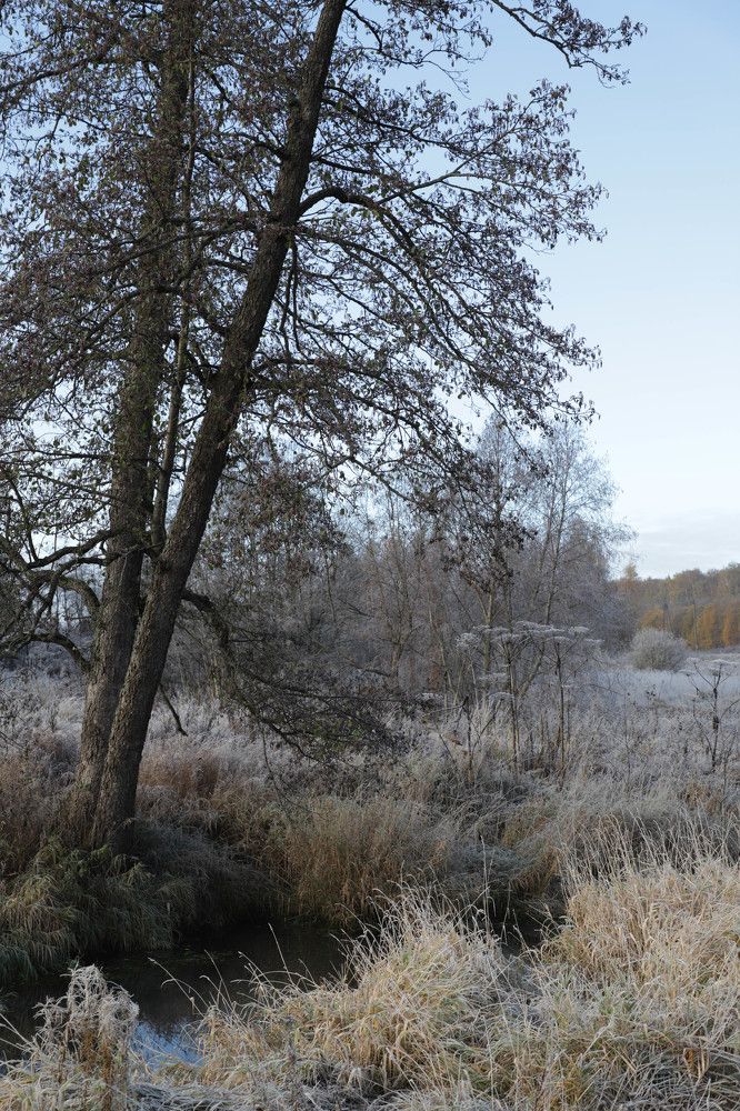 Photograph by Tatiana Shevkun