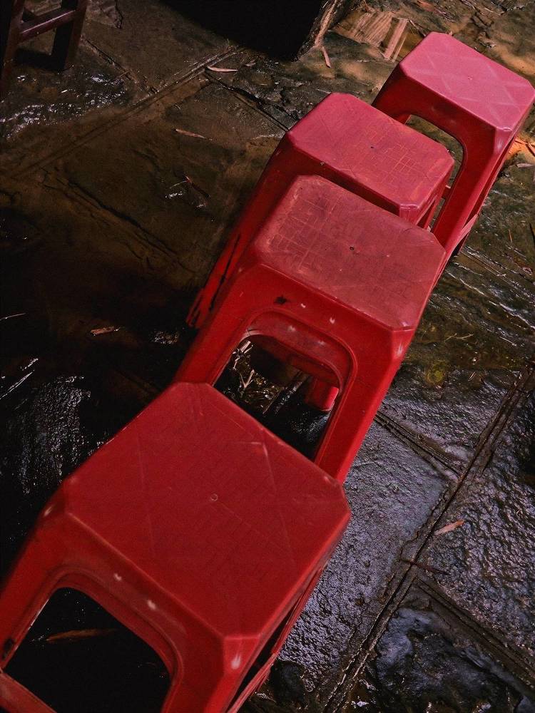 Photograph by Ksenija Bartoško