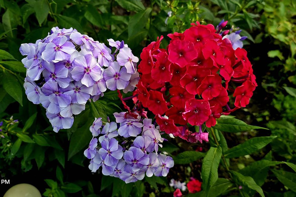 Photograph by Геннадий Зайцев