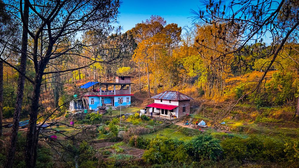 Фотография автора savitri Rawat