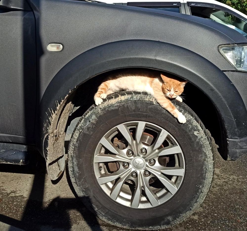 Photograph by Ольга Тихонова