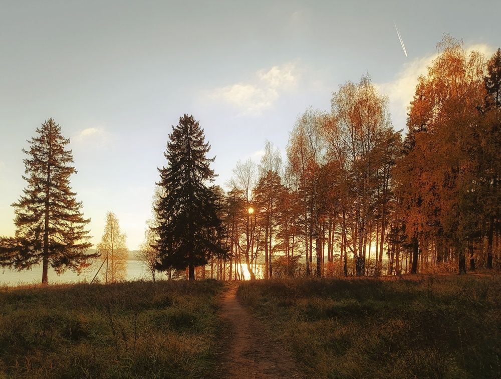 Фотография автора Ольга Кунакова