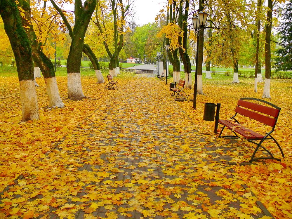 Фотография автора Анатолий Борисов