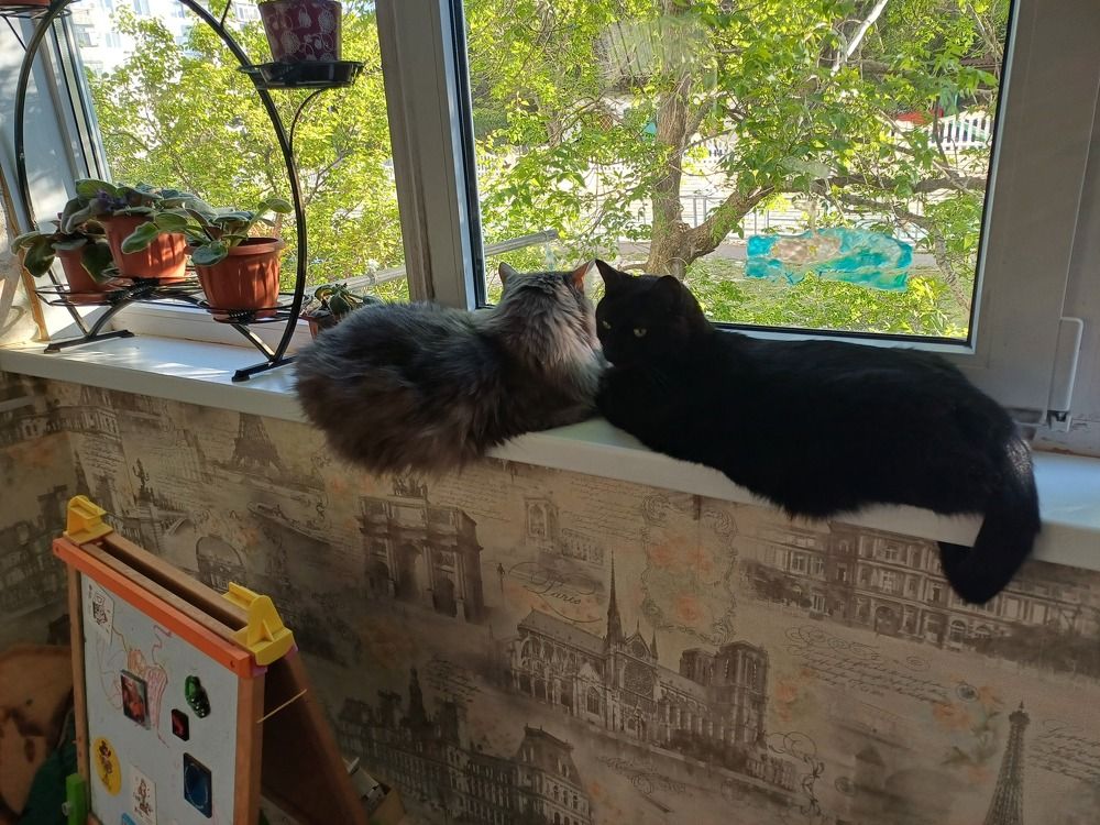 Photograph by Елена Казаренко