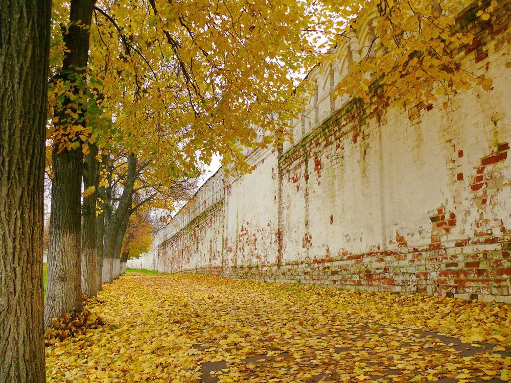 Фотография автора Анатолий Борисов