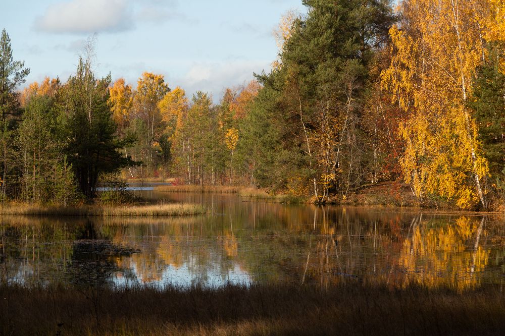 Photograph by Светлана Воробьёва
