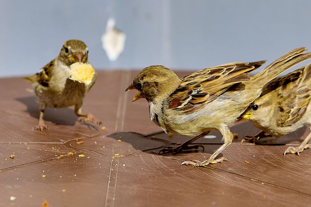 Photograph by Голованов Николай