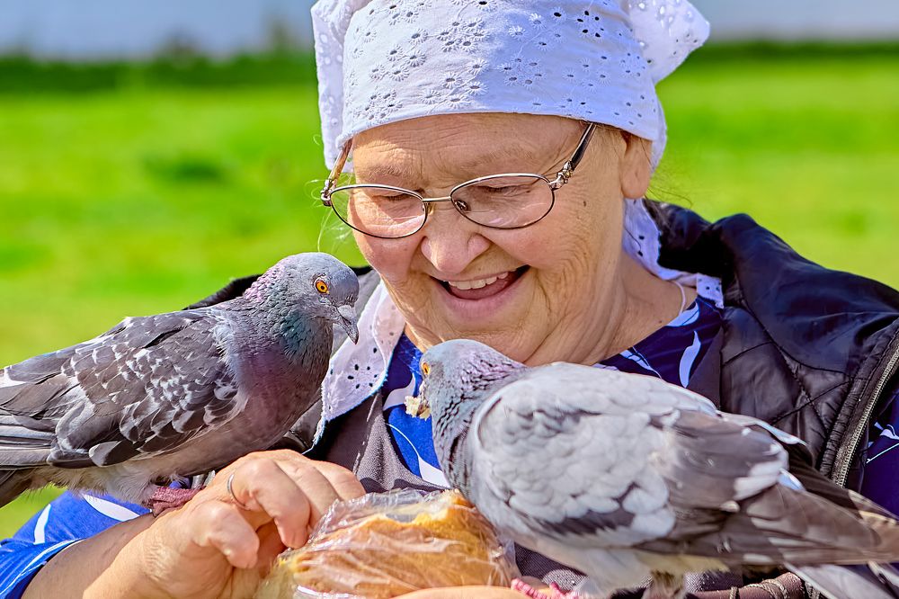 Photograph by Голованов Николай