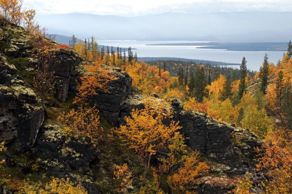 Photograph by Лена Максимкина