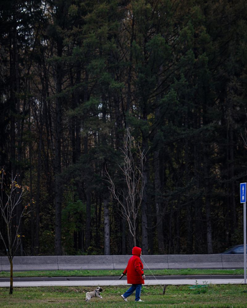 Photograph by Mikhail
