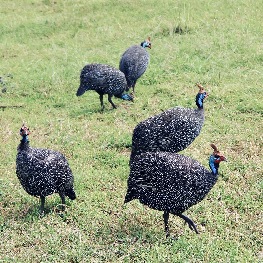 Photograph by Олег Банковский