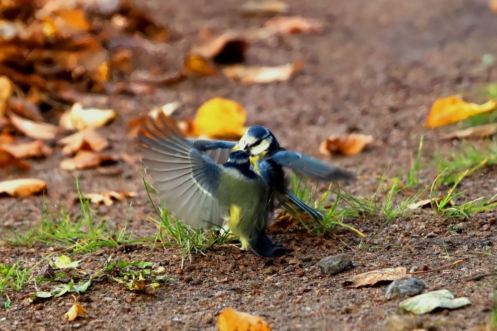 Photograph by Татьяна Слесарева