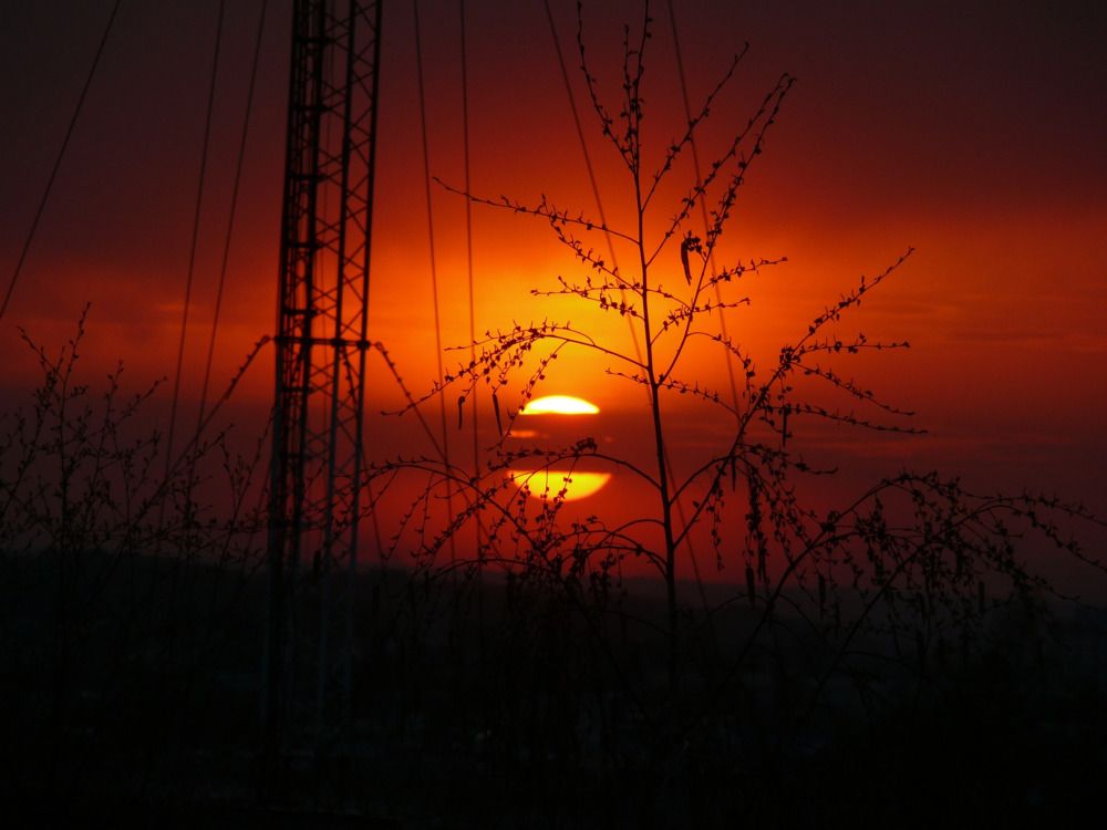 Photograph by Дмитрий Фетисов