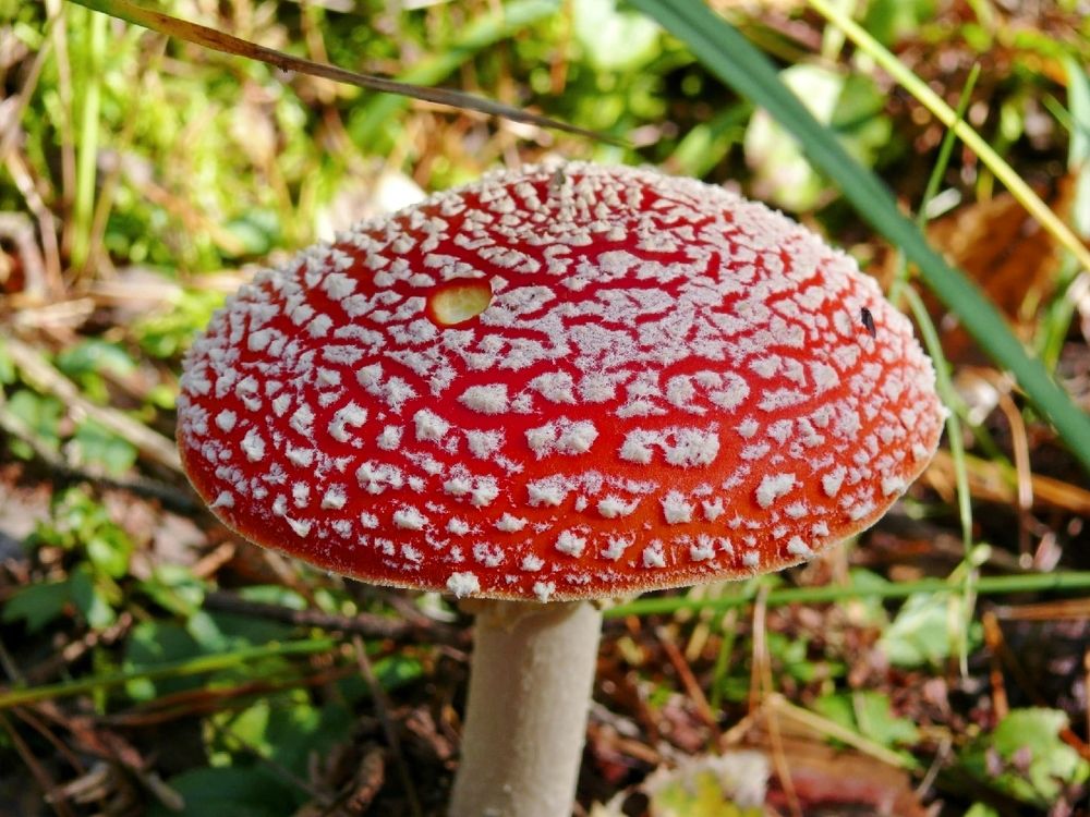 Photograph by Дмитрий Фетисов