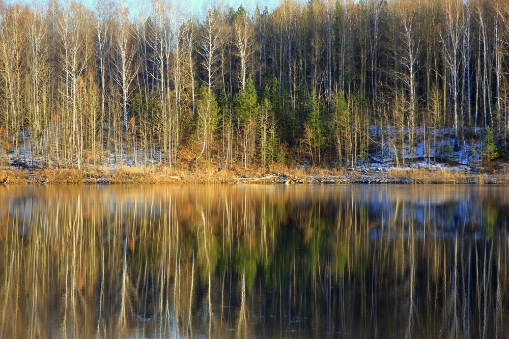 Фотография автора Nelya  Lysenko