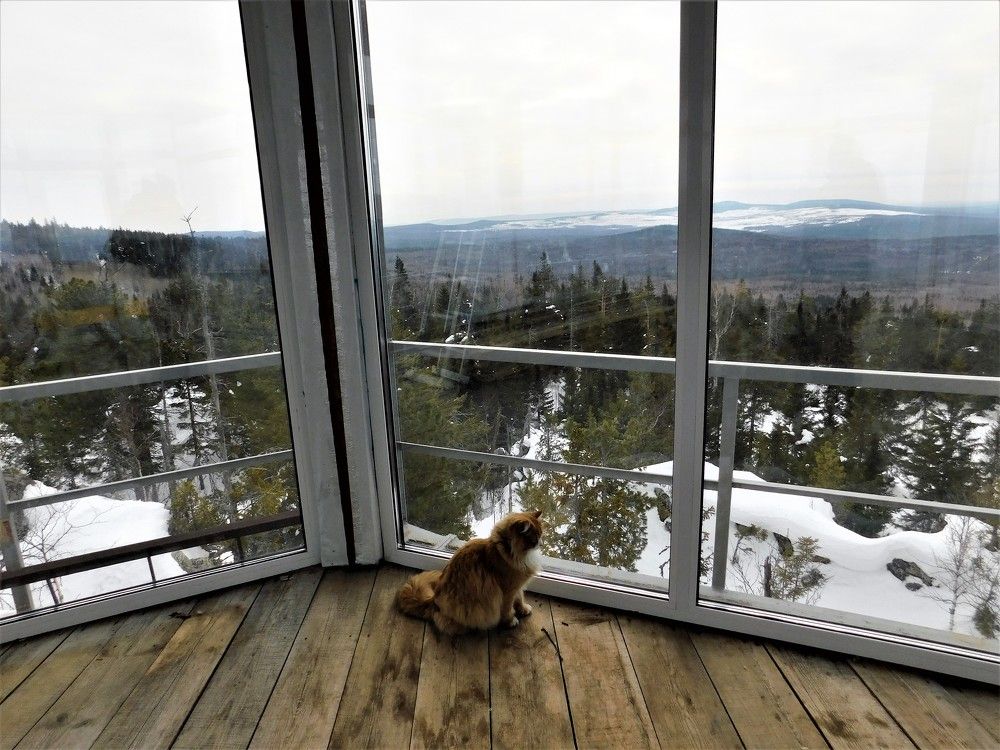 Photograph by Чкареули Светлана