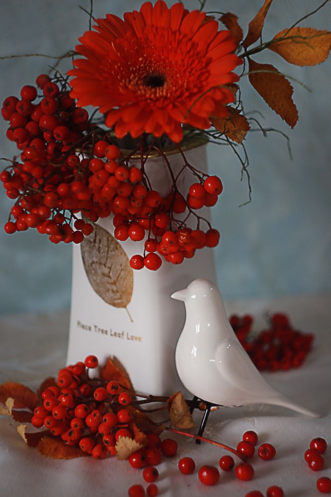 Фотография автора Елена Разина