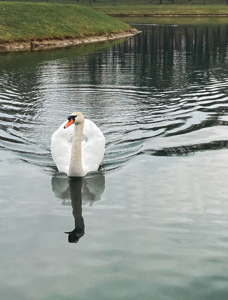 Photograph by Uladzimir Hvozd